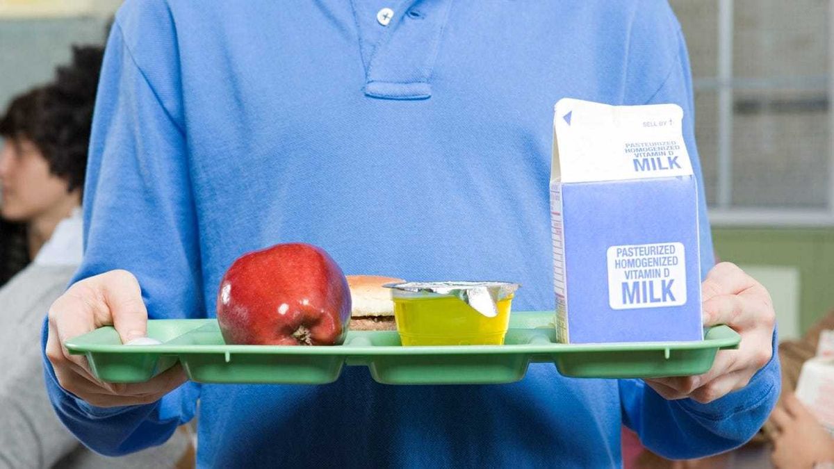 Boy with lunch tray - stock photo