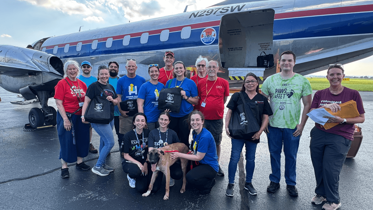 Brandywine Valley SPCA takes in more than 30 cats and dogs displaced by deadly Texas floods