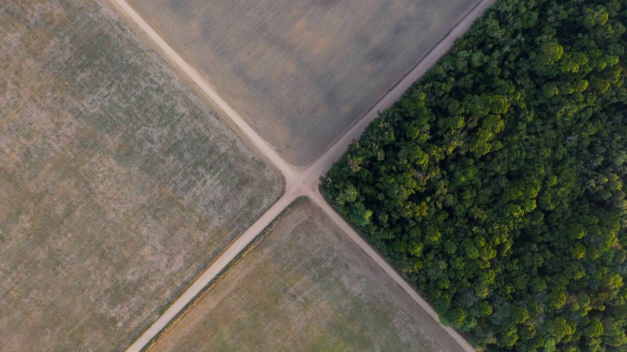 BRASIL-AMAZONIA-SOYA