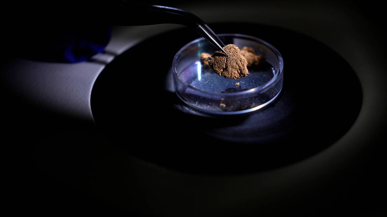 Brazil Amazon Gold Lab
