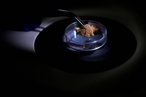 what is the meaning of tobacco Smoking [autosaved] The Tobacco and Vapes Bill,