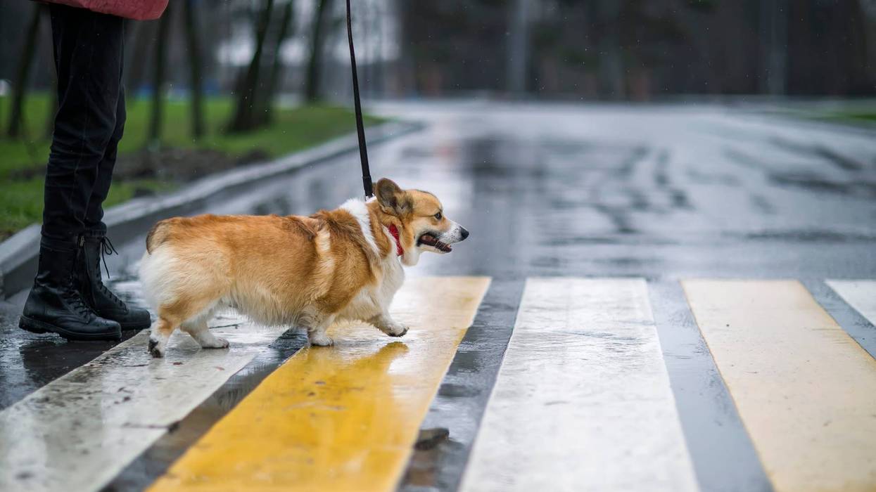 Break from rain Saturday, more storms Sunday