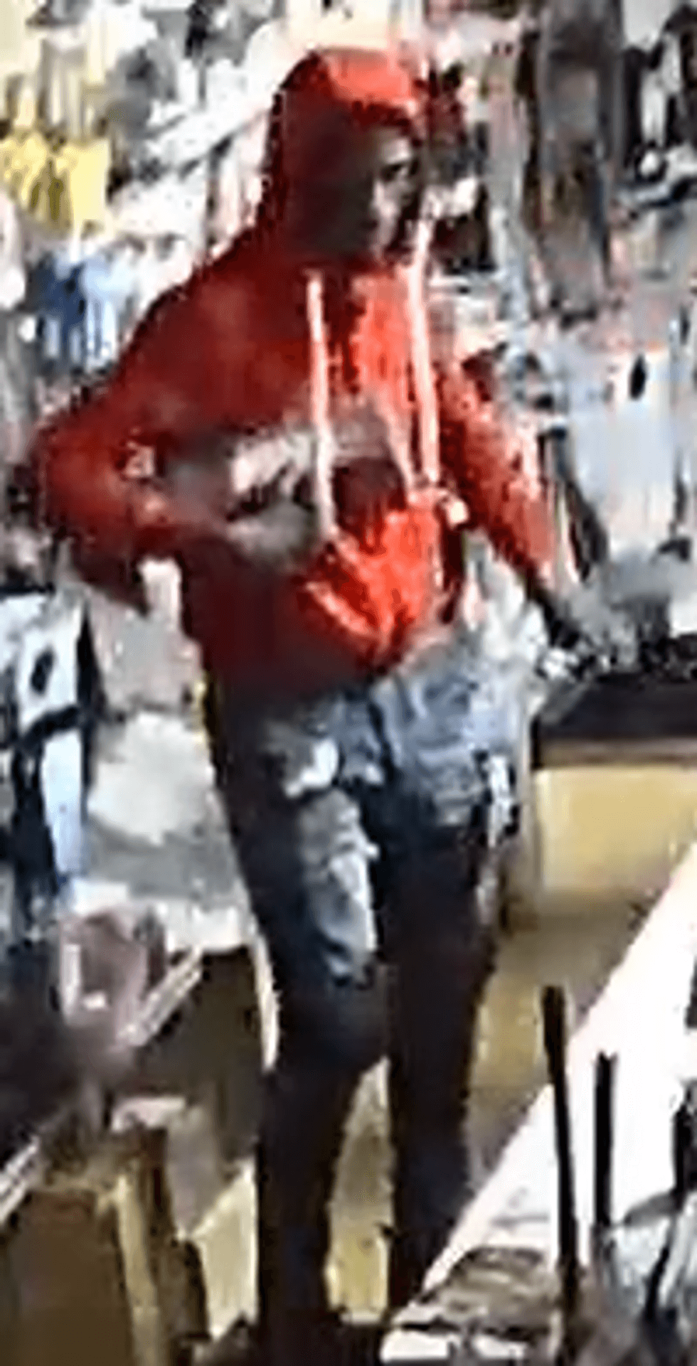 Break-in suspect on Detroit