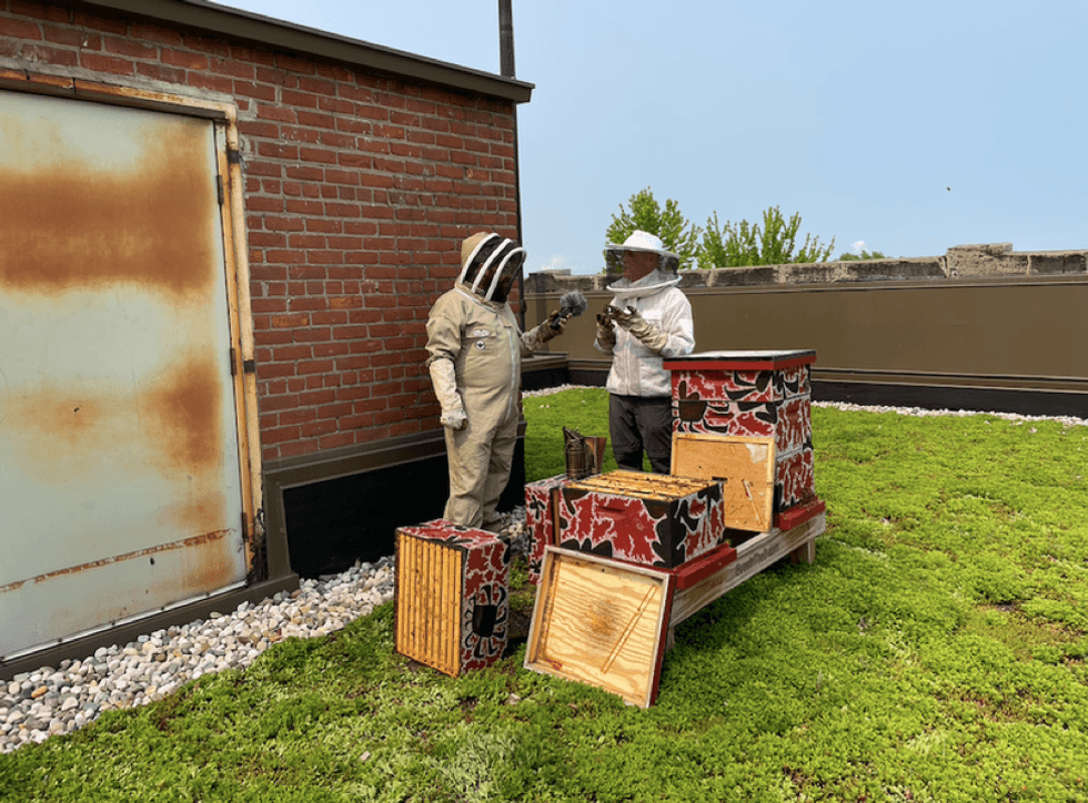 Brian Peterson-Roest shows WWJ