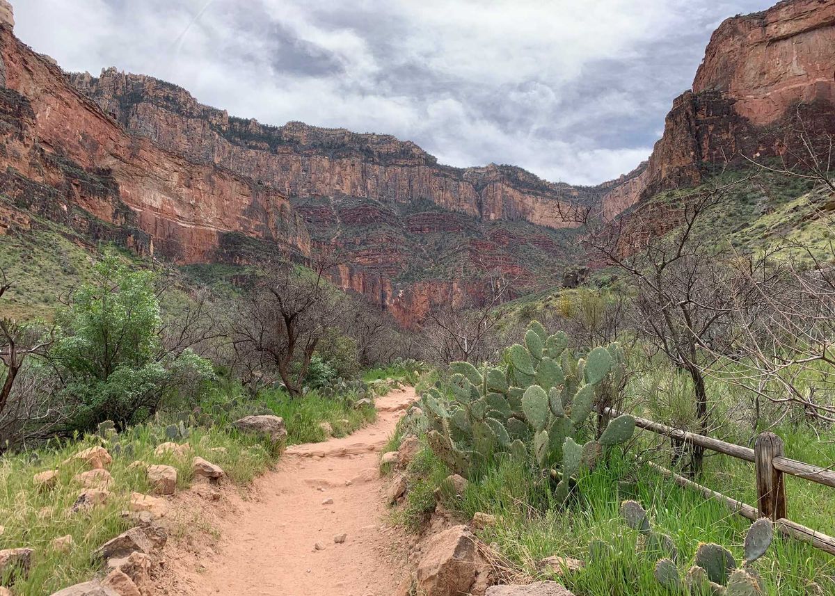 Bright Angel Trail and Havasupai Gardens in Grand Canyon National Park.