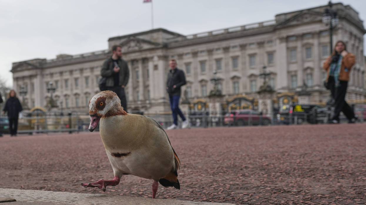 Britain Epstein Andrew