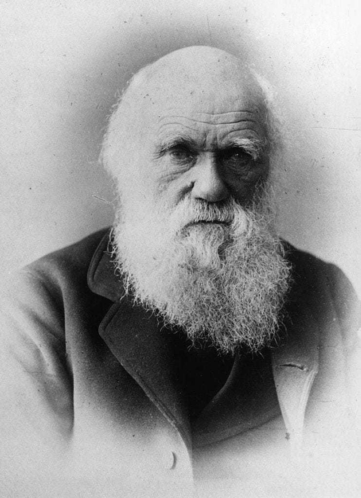 British naturalist and writer of 'The Theory of Evolution' Charles Robert Darwin (1809 - 1882). (Photo by General Photographic Agency/Getty Images)