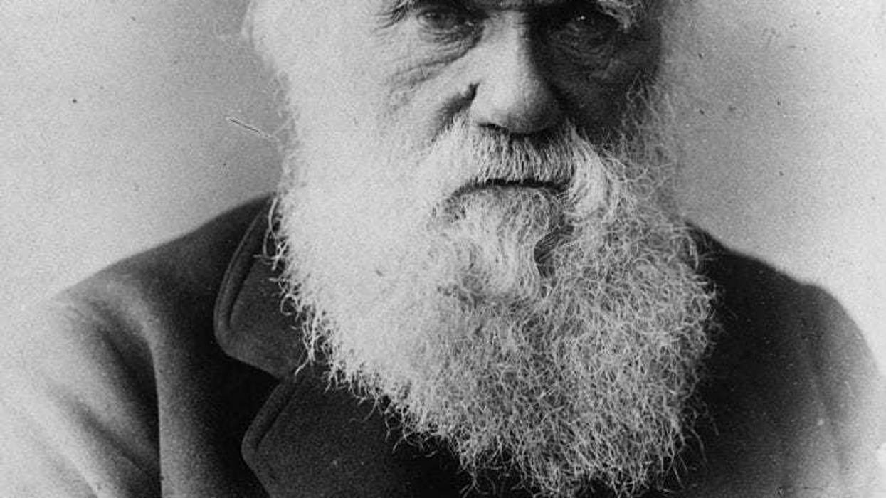 British naturalist and writer of 'The Theory of Evolution' Charles Robert Darwin (1809 - 1882). (Photo by General Photographic Agency/Getty Images)