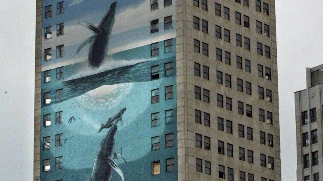 Broderick Tower whale mural