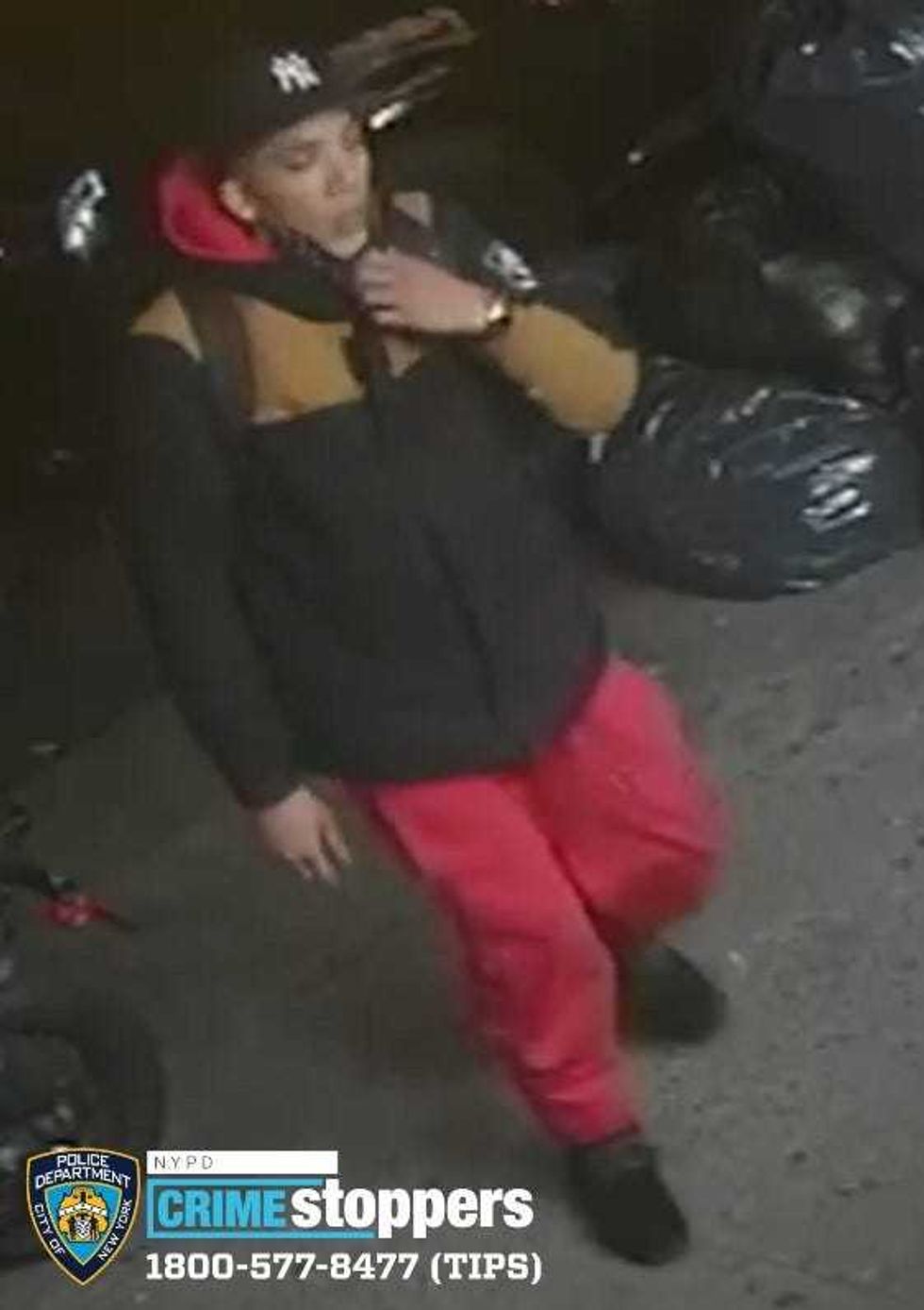 Bronx gunman