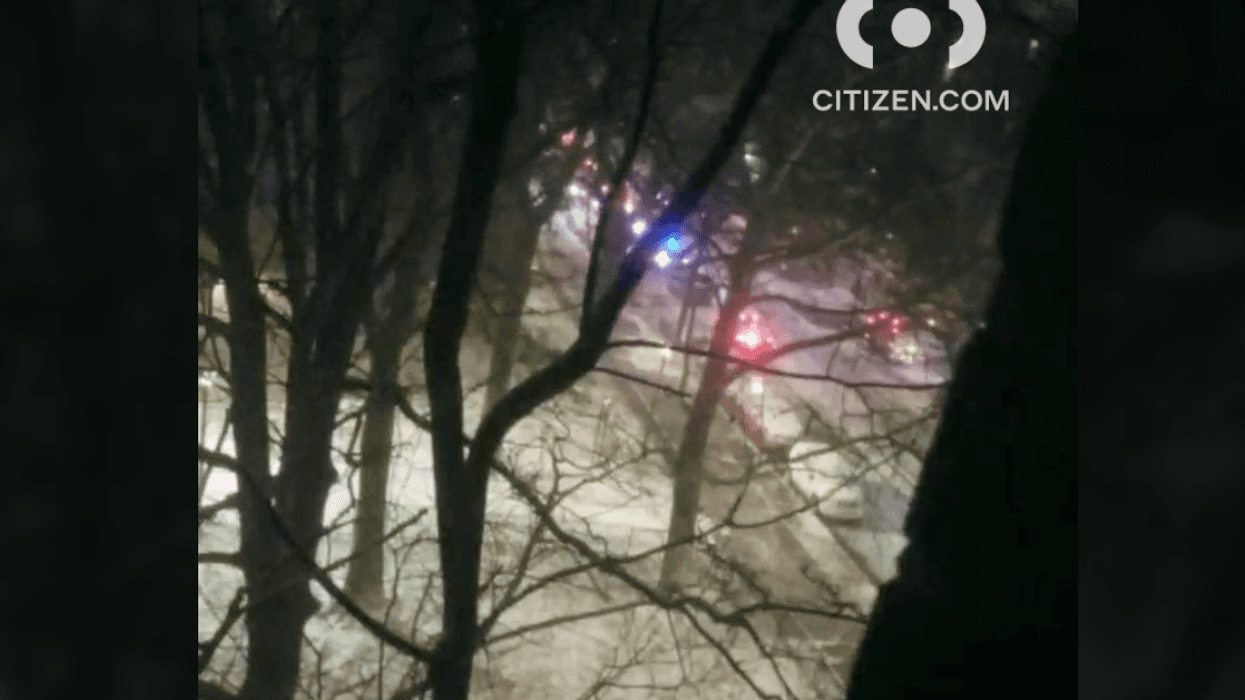 Bronx shooting