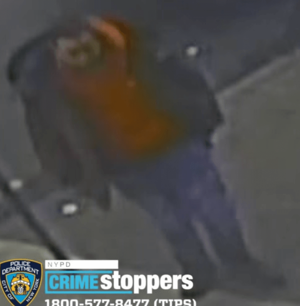 Bronx slashing suspect