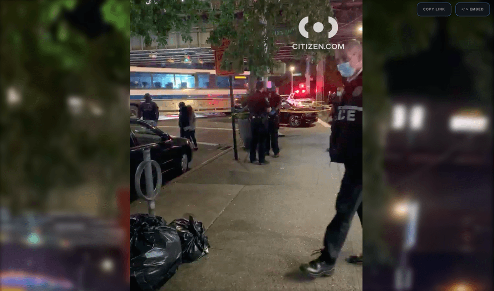 Bronx stabbing