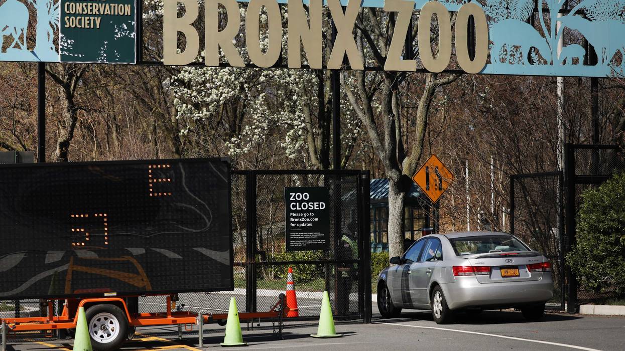 Bronx Zoo
