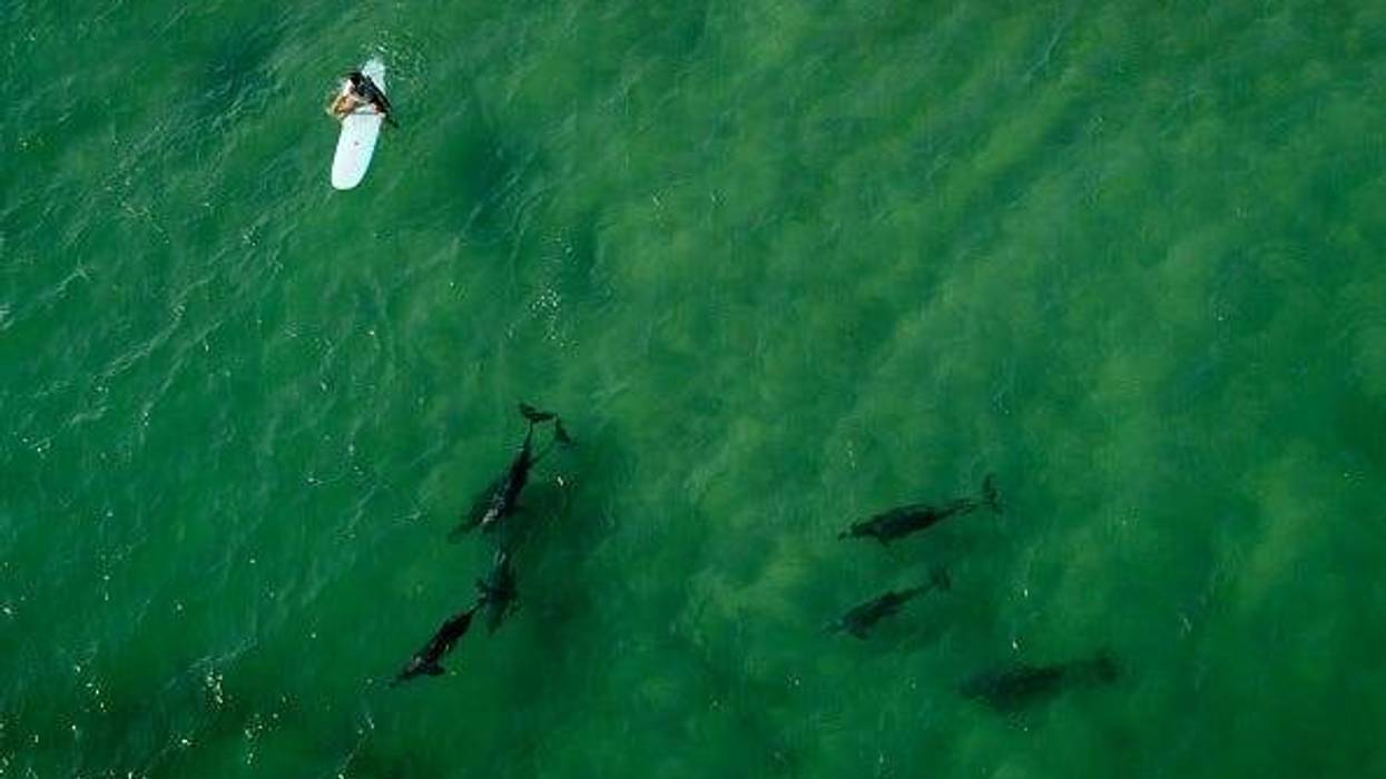 Brook Mitchell / Stringer Editorial #: 1213988102 Collection: Getty Images News Date created: March 22, 2020