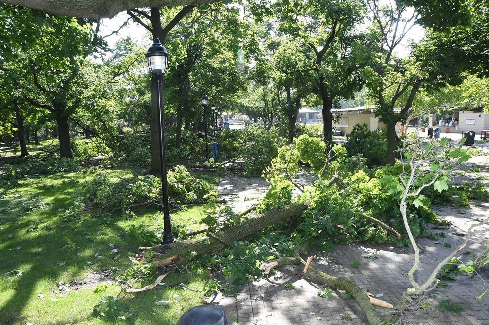 Brookfield Zoo East Mall storm damage