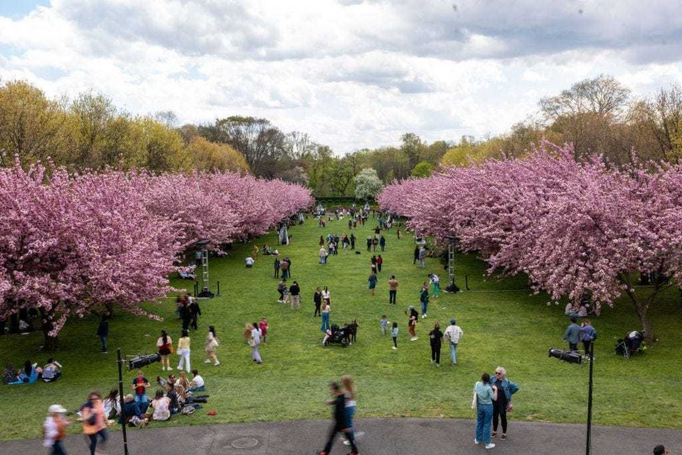 Brooklyn Botanic Garden