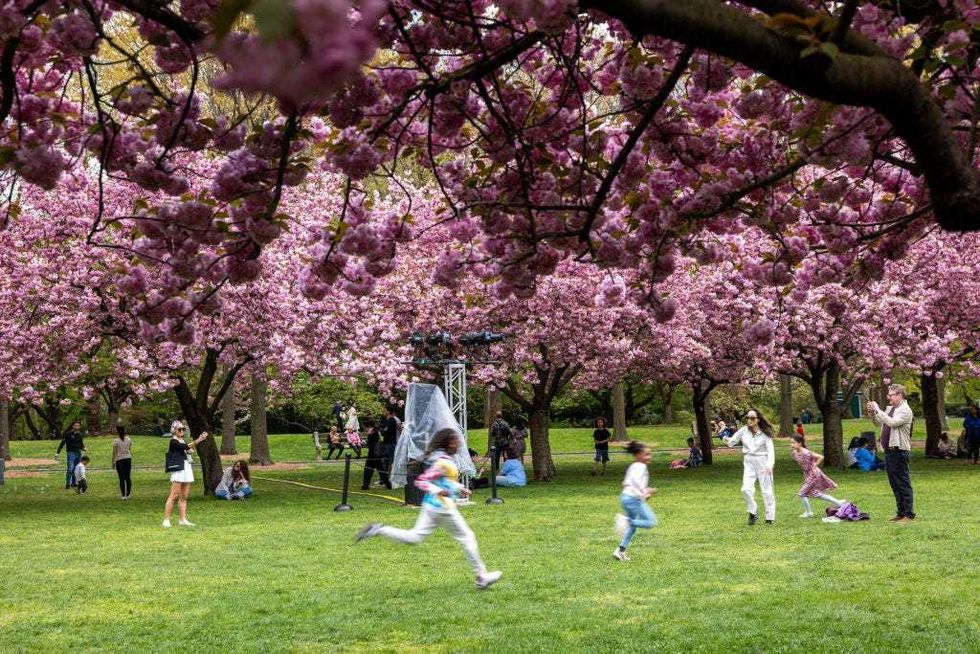 Brooklyn Botanic Garden