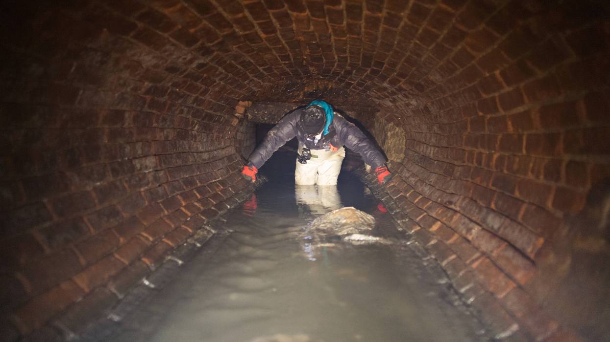 Brooklyn Sewer Mystery