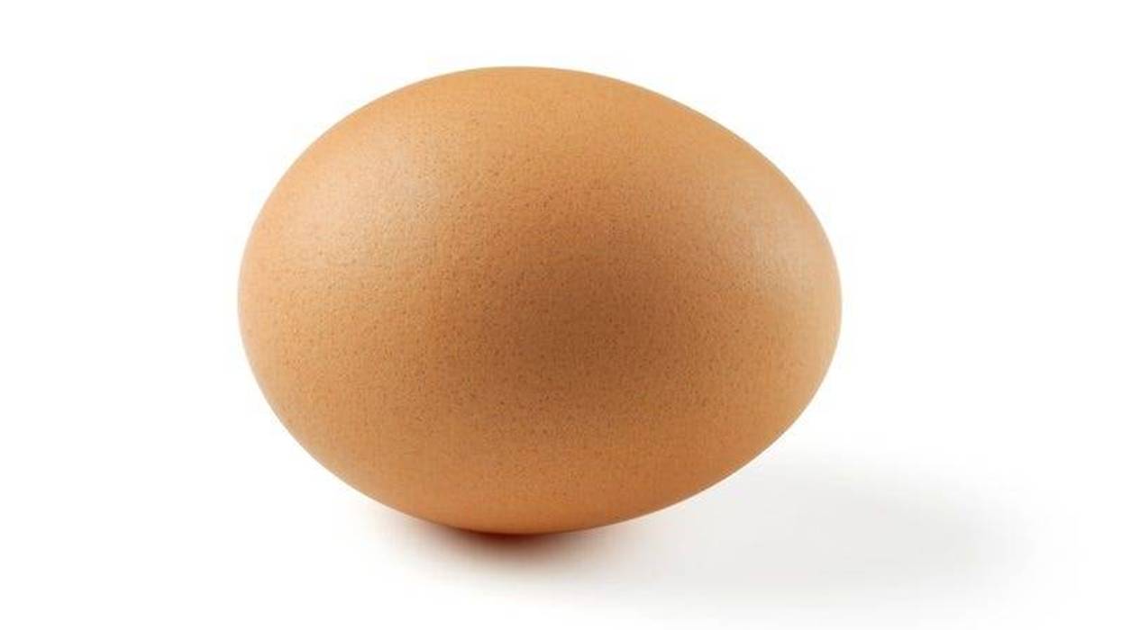 brown_egg