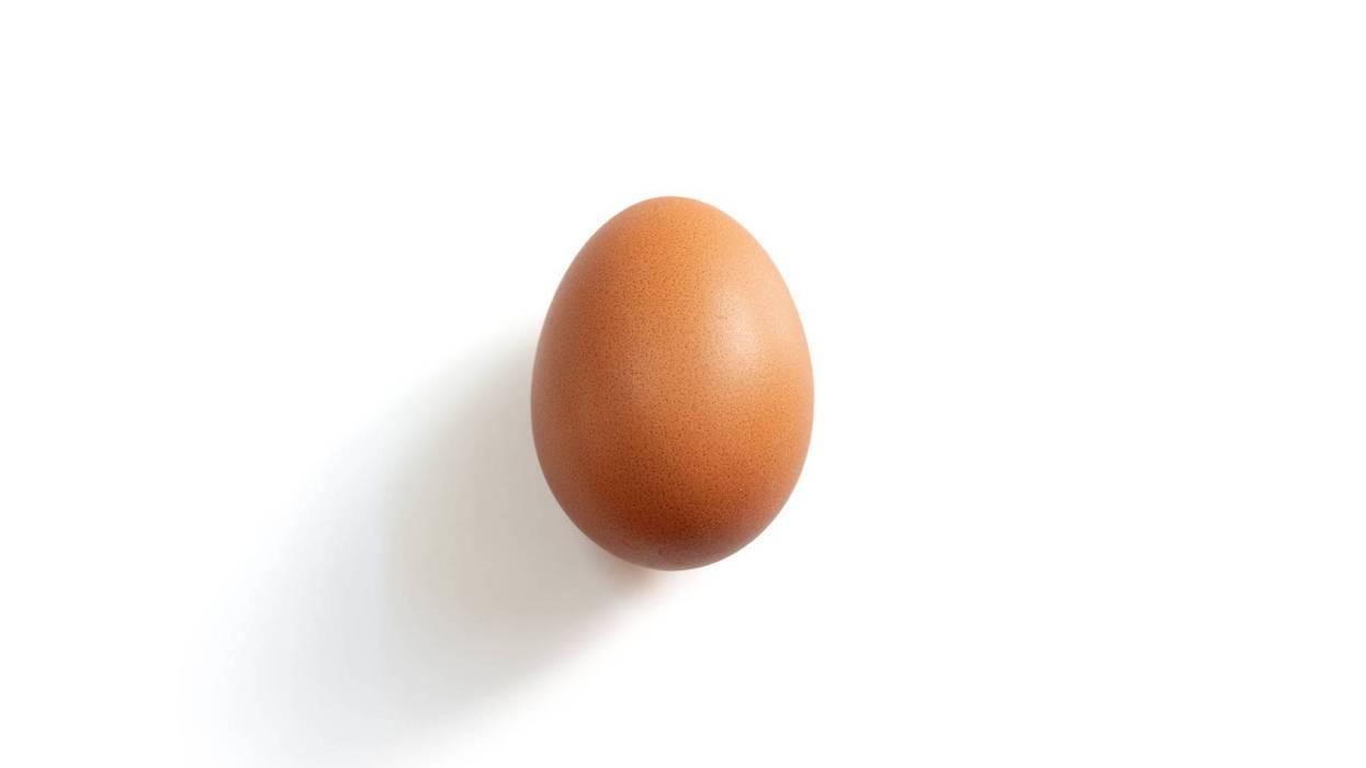 Brown egg