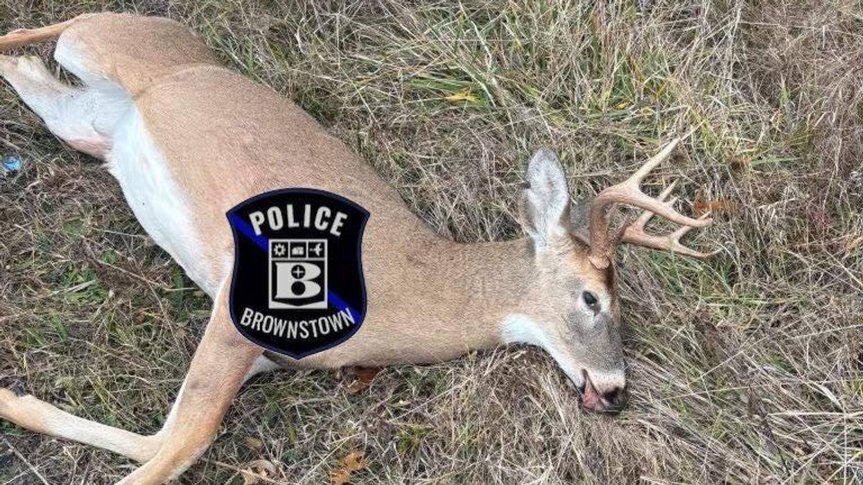 Brownstown deer