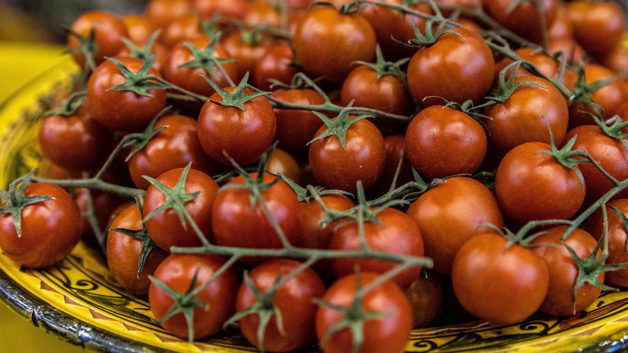 Bruschetta