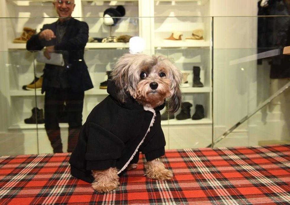 Bryan Bedder/Getty Images