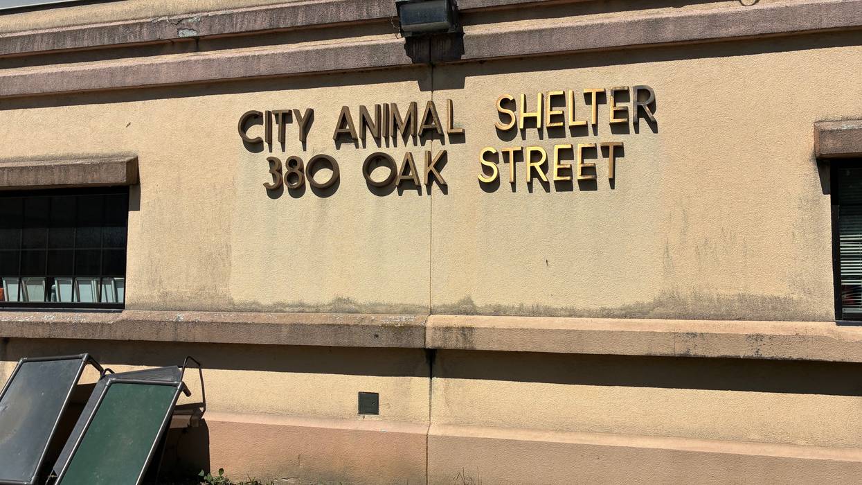 Buffalo Animal Shelter