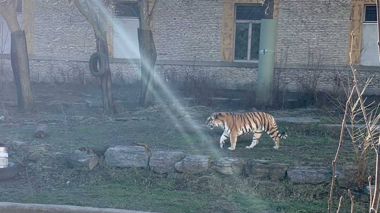 Buffalo Zoo