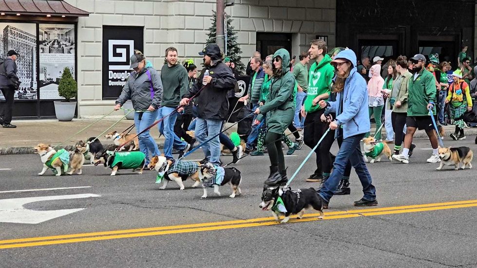 Buffalo