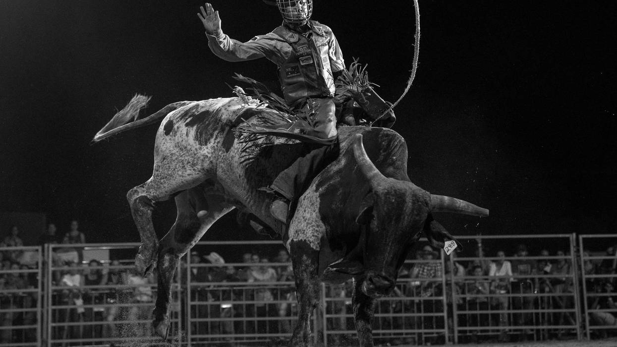 Bull rider riding bull