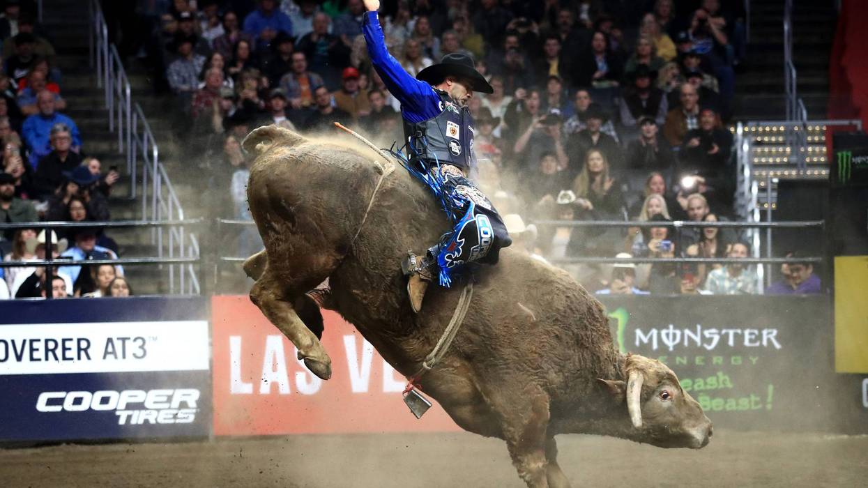 bull rider