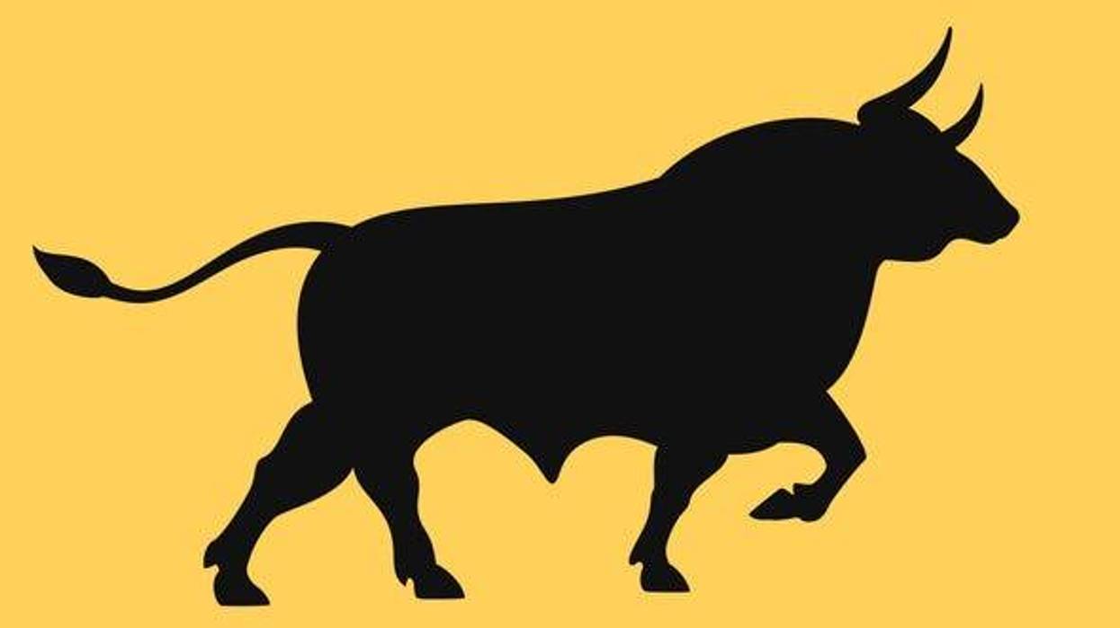 Bull