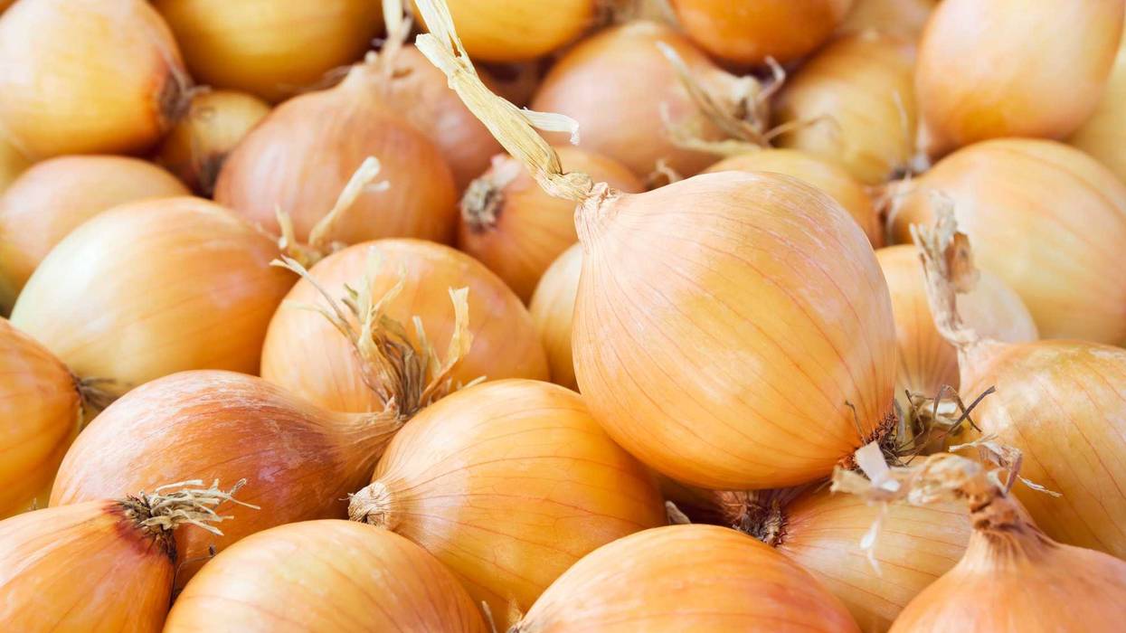 Bunch of fresh onions.