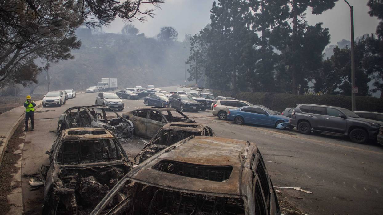 Burned vehicles are left behind on Sunset Boulevard after their occupants became stuck in traffic while evacuating from the Palisades Fire amid a powerful windstorm on January 8, 2025 in the Pacific Palisades neighborhood of Los Angeles, California. Fueled by intense Santa Ana Winds, the Palisades Fire has grown to over 15,000 acres and 30,000 people have been ordered to evacuate while a second major fire continues to burn near Eaton Canyon in Altadena.