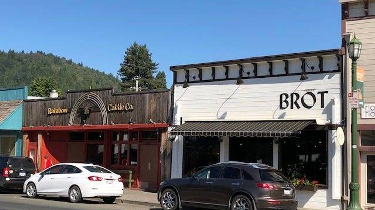 Businesses along Main Street in Guerneville
