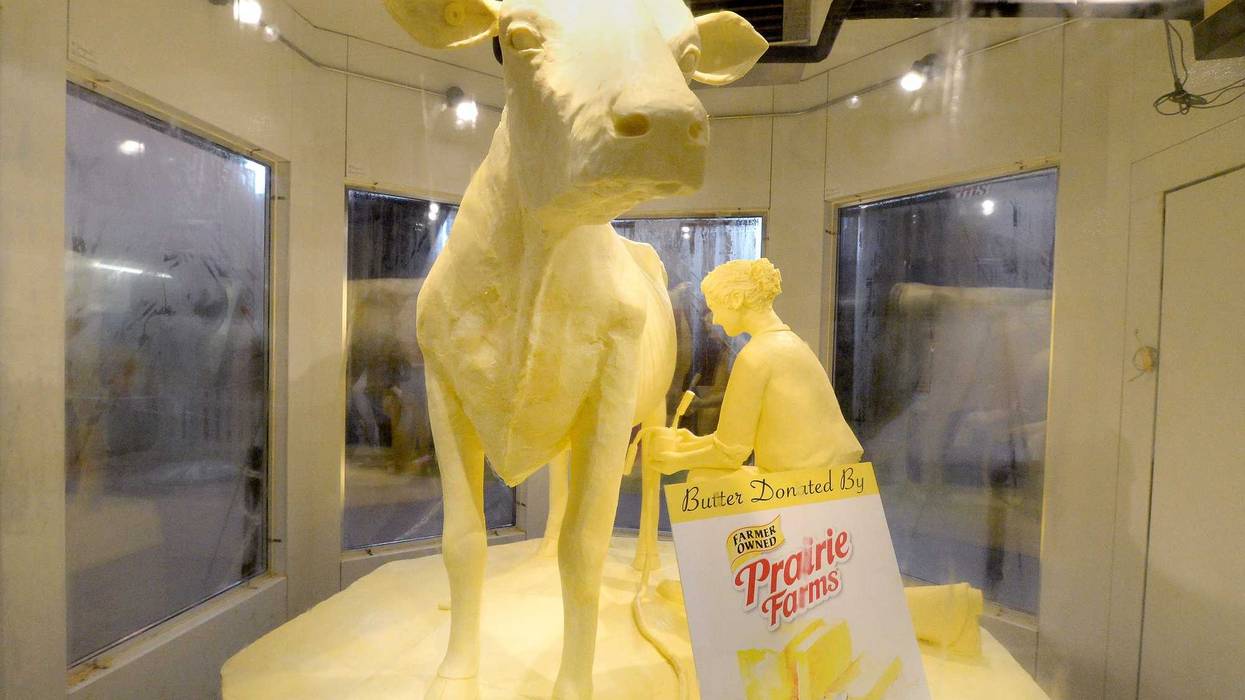 Butter Cow