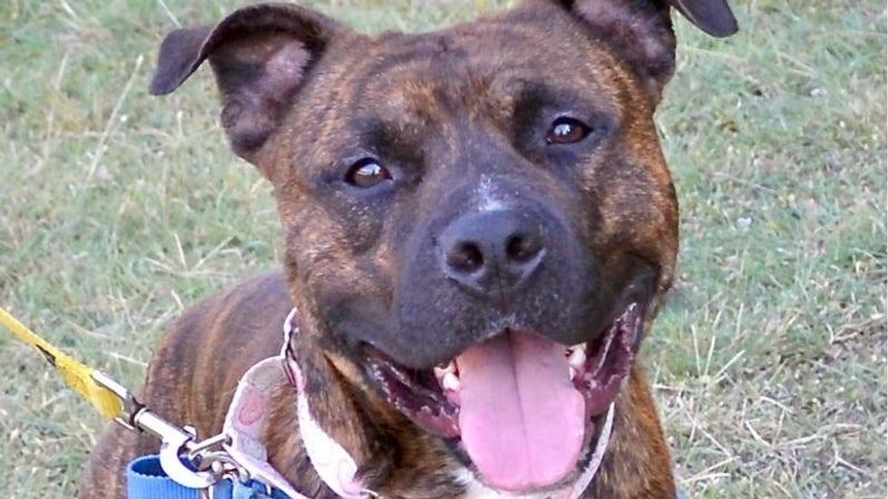 Butterball @ Austin Humane Society 7/6/ 22