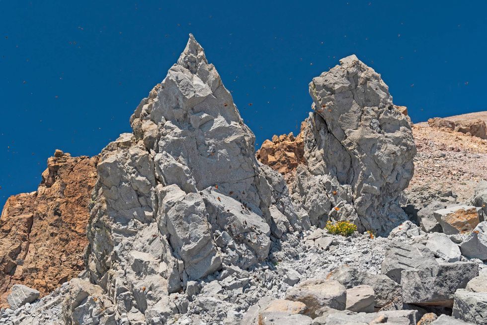 butterflies on Lassen Peak