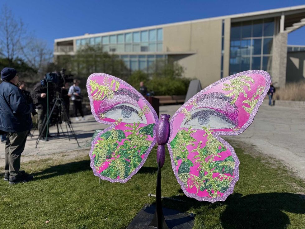 butterfly sculpture