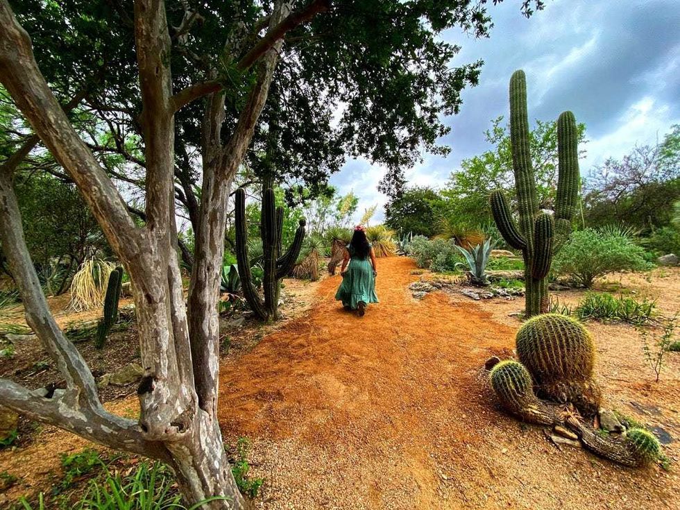 cactus path