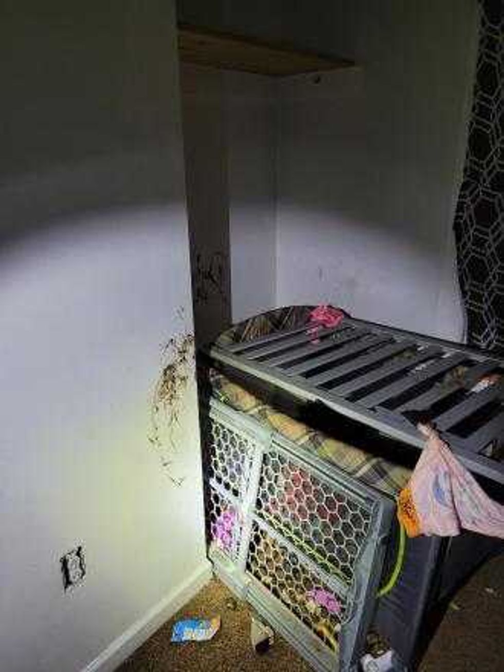 Cage