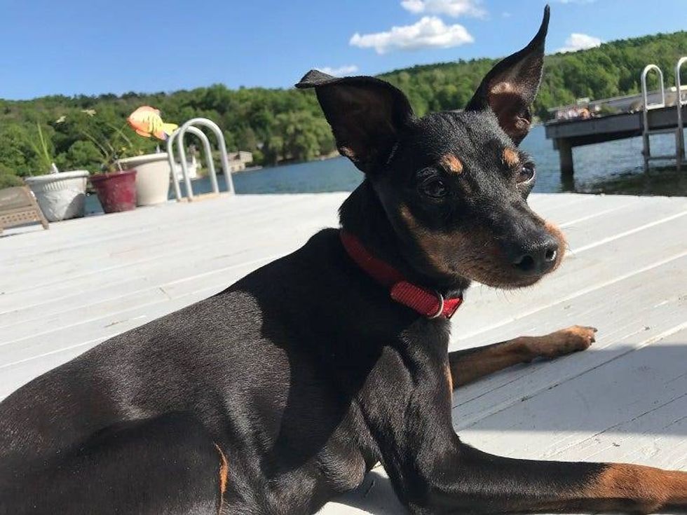 Cairo at Harveys Lake