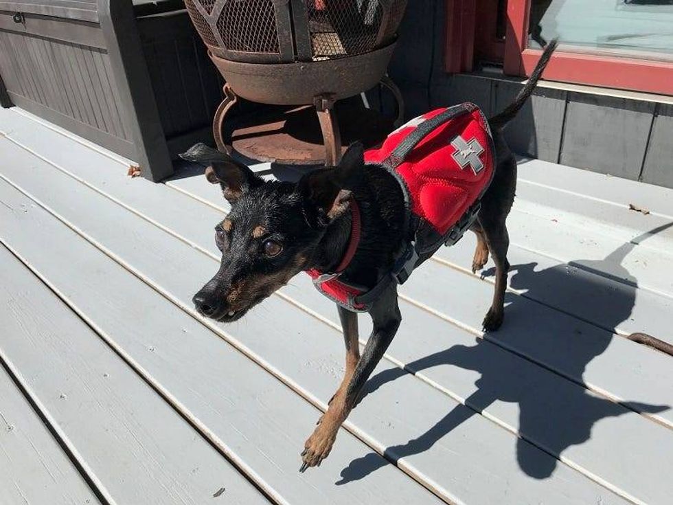Cairo with his life vest