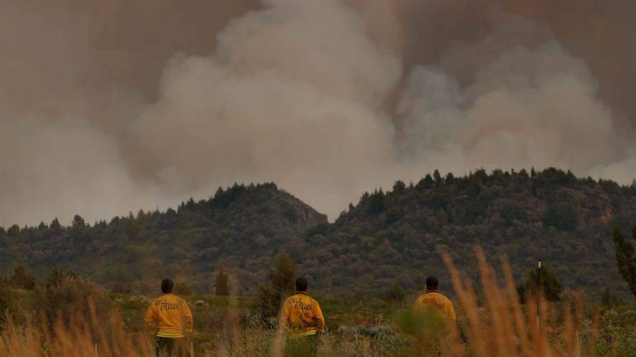 Cal Fire firefighters monitor the Lava Fire as it moves through the area on July 01, 2021 in Weed, California.