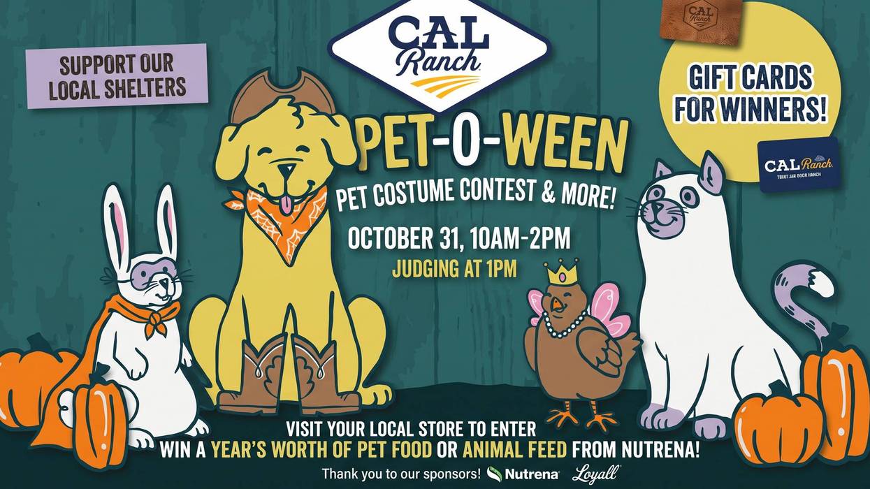 Cal Ranch Pet-O-Ween Pet Costume Contest poster with cartoon animals in Halloween costumes and pumpkins.