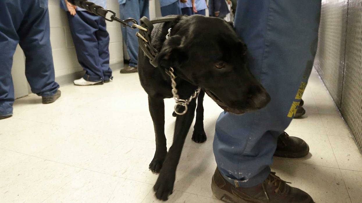 California Prisons Drug Deaths