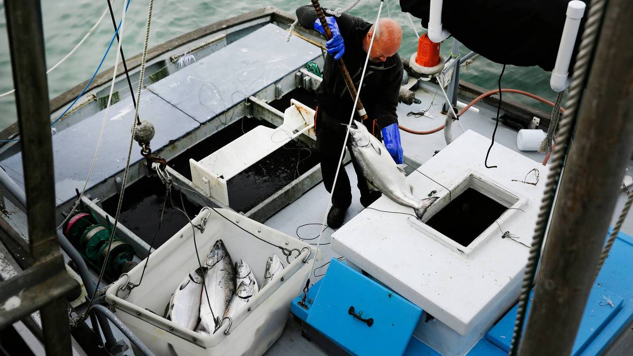 California Salmon Fishing