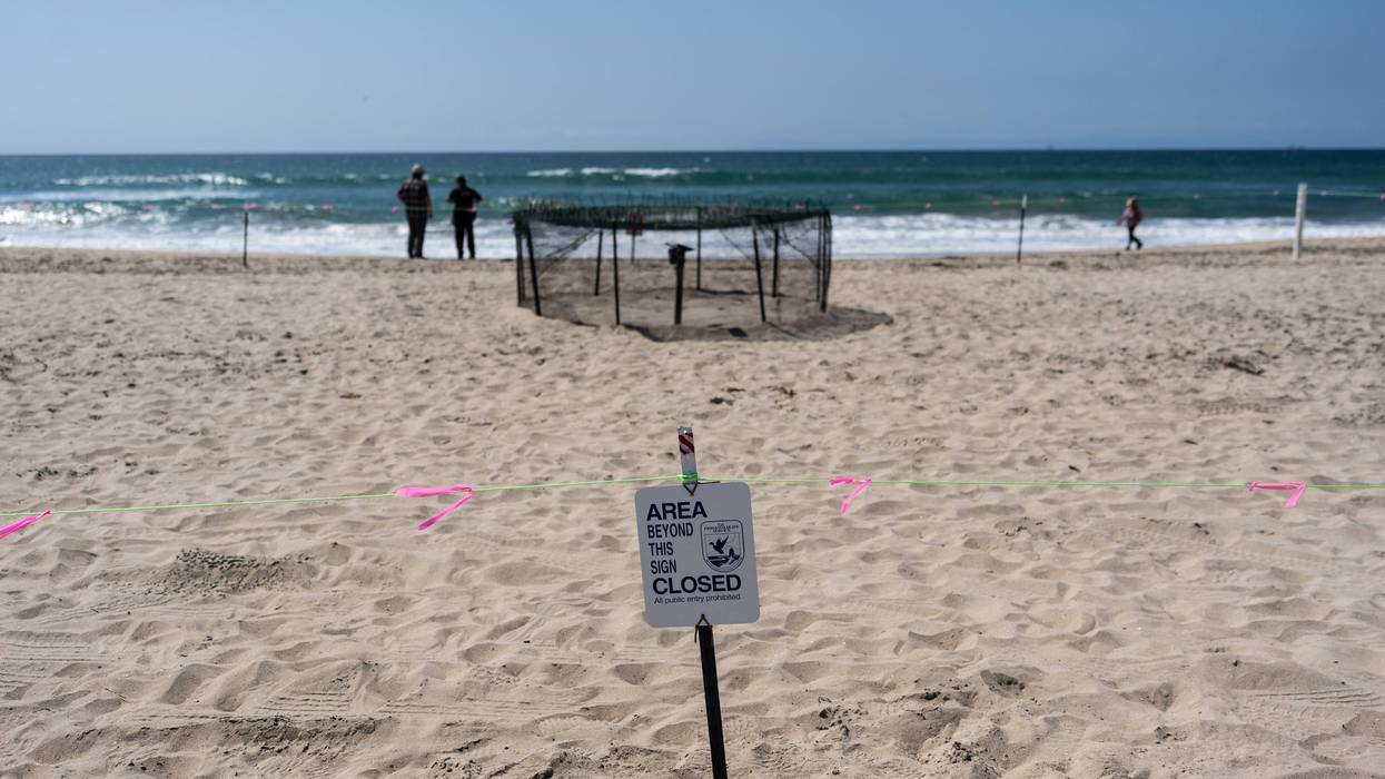 CALIFORNIA-TORTUGAS 1
